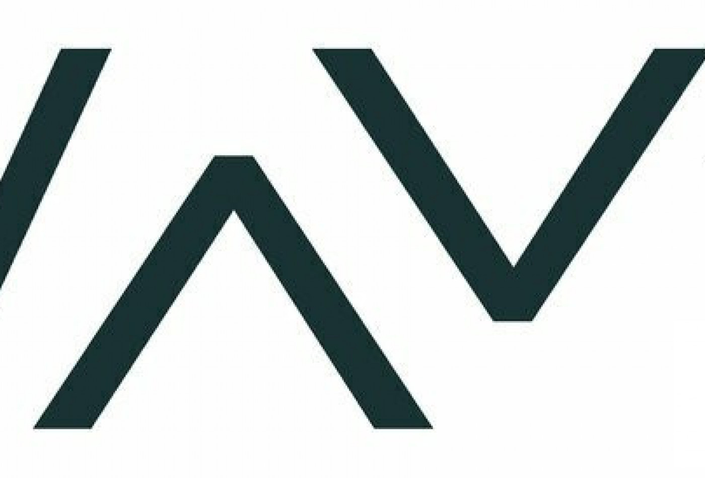 vente Locaux d'activité Lattes - Photo 2