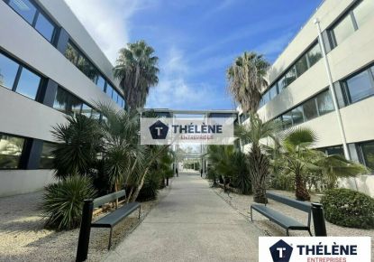 location Bureau Perols