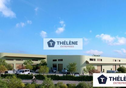 vente Locaux d'activité Marguerittes