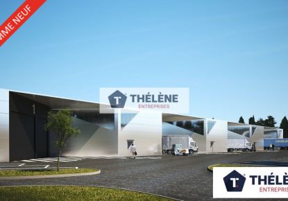 location Locaux d'activité Mauguio