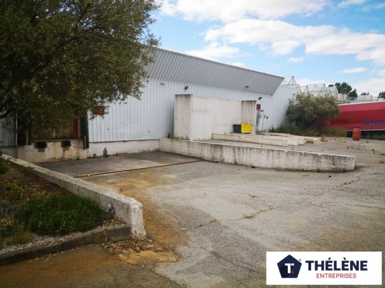 location Locaux d'activité Le Cres - Photo 5