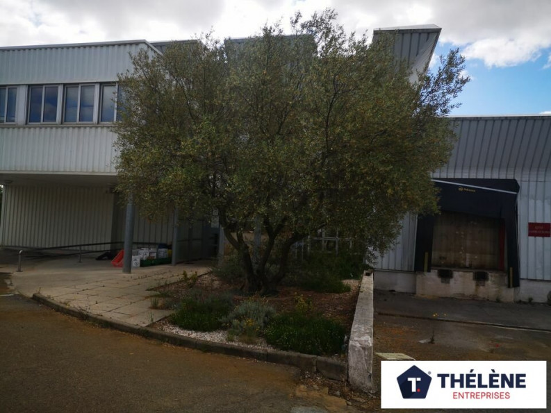location Locaux d'activité Le Cres - Photo 3