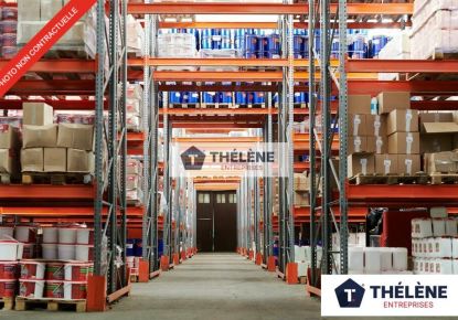 vente Locaux d'activité Vic La Gardiole