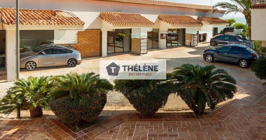 vente Locaux d'activité Baillargues