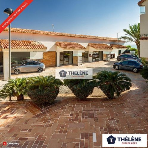 vente Locaux d'activité Baillargues