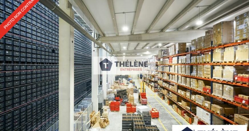 location Locaux d'activité Vauvert