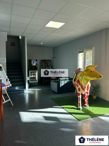 vente Bureau Montpellier