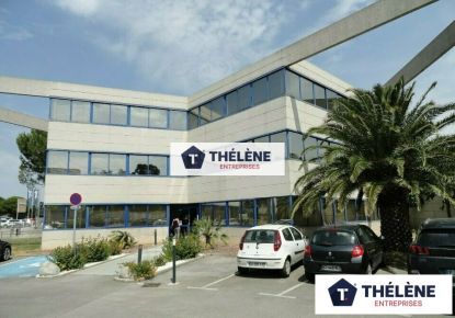 location Bureau Mauguio