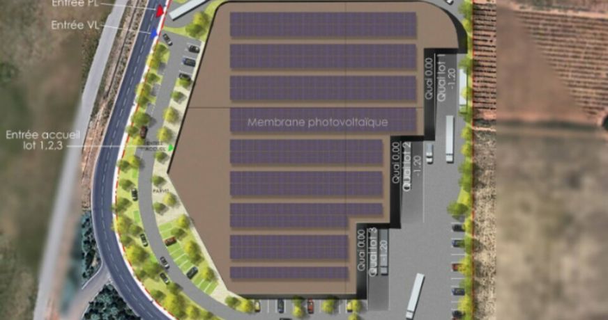 vente Locaux d'activité Mauguio