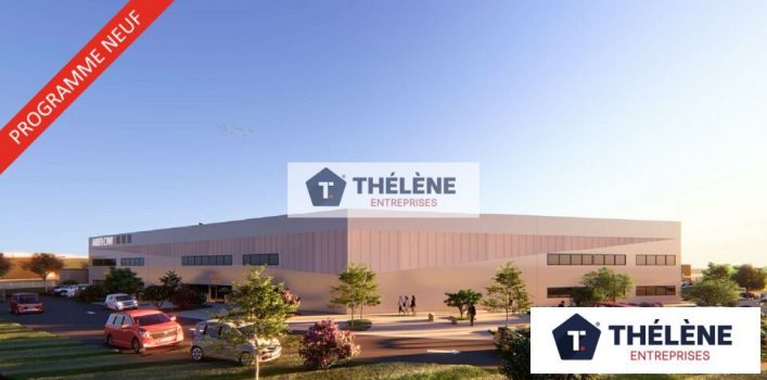 vente Locaux d'activité Mauguio