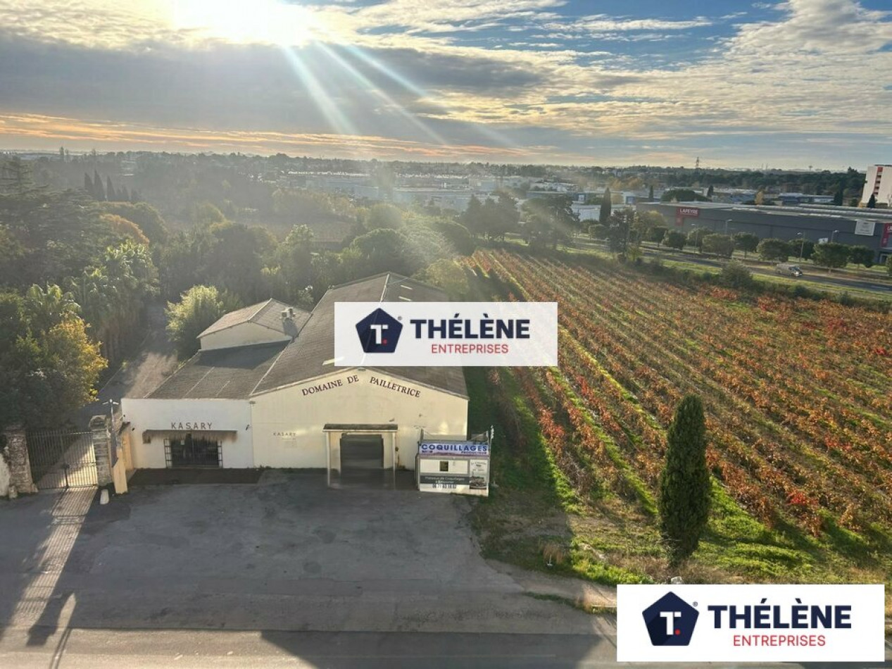 location Local commercial Perols - Photo 3