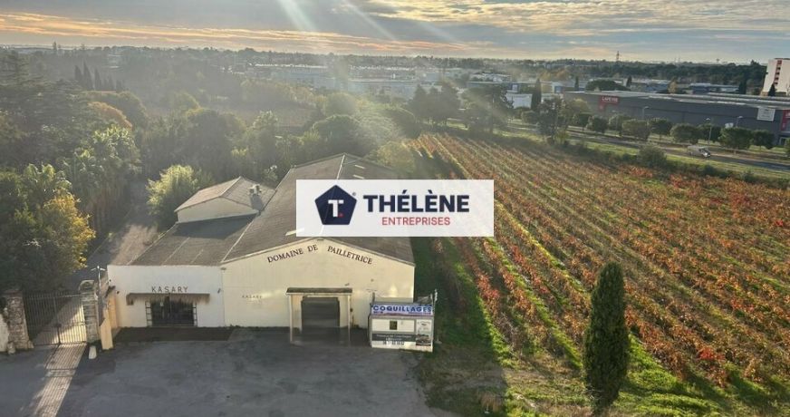 location Local commercial Perols