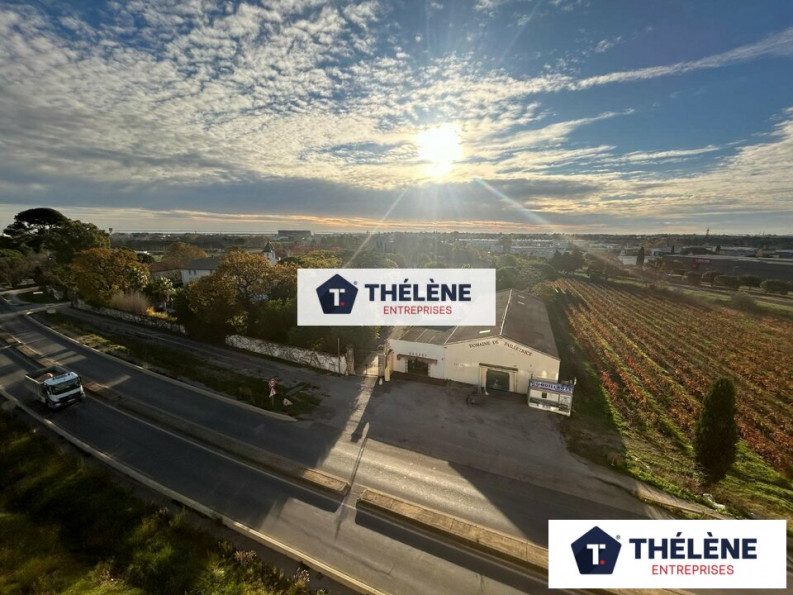 location Local commercial Perols - Photo 2