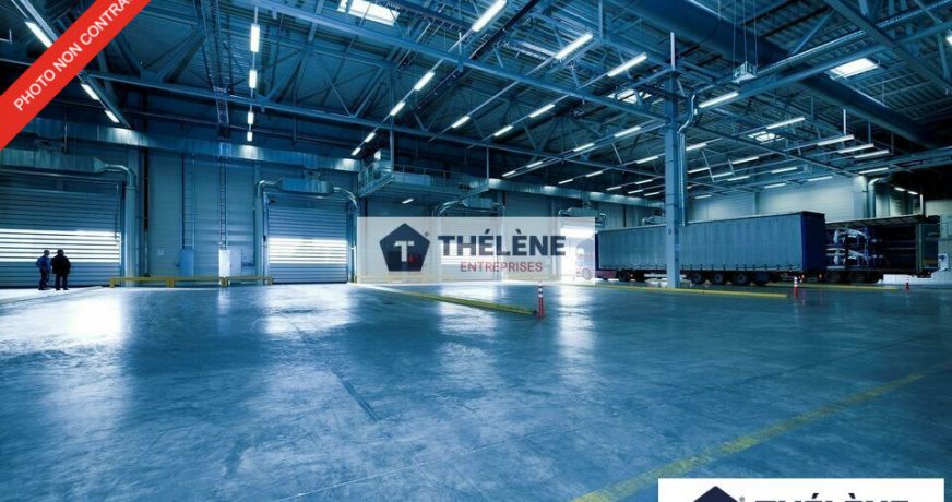 vente Locaux d'activité Saint Georges D'orques