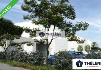 vente Locaux d'activité Lunel