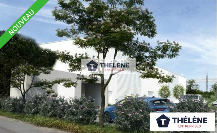 vente Locaux d'activité Lunel