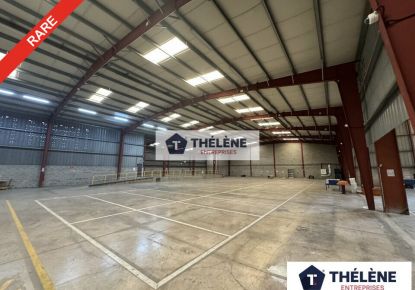 location Locaux d'activité Baillargues