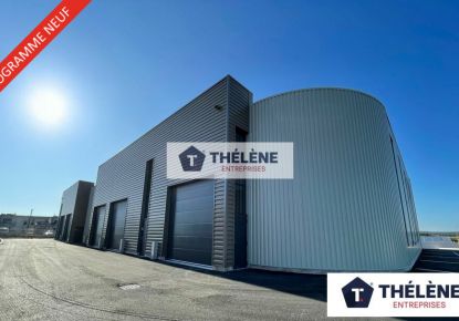 vente Locaux d'activité Saint Georges D'orques