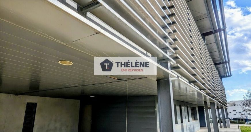 location Locaux d'activité Castries