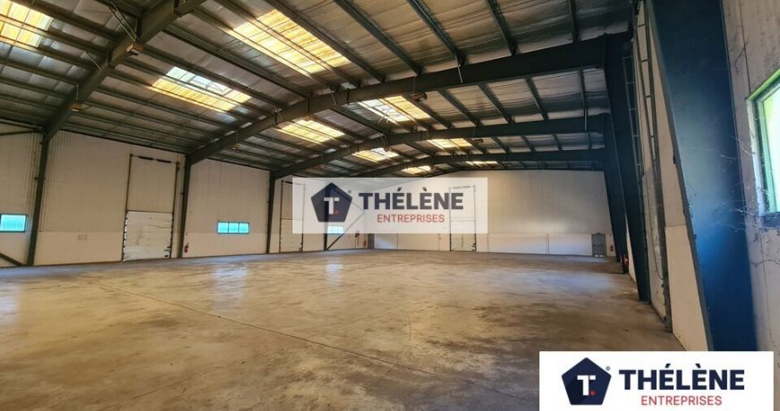 vente Locaux d'activité Mauguio