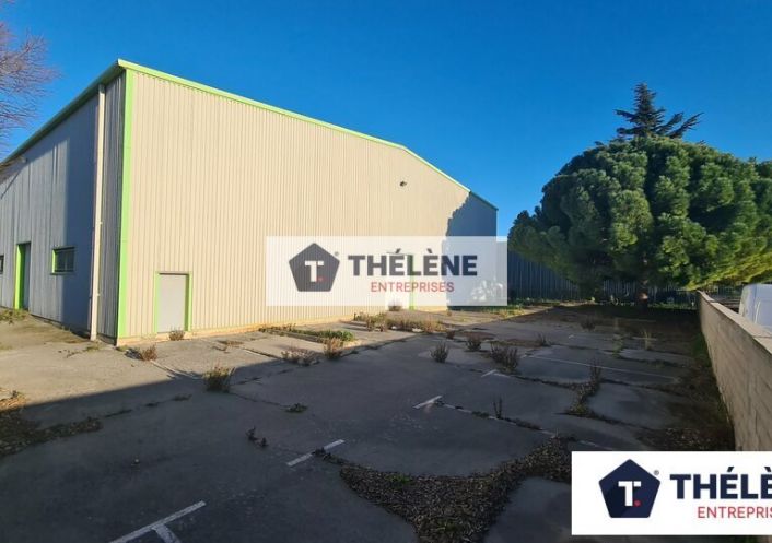 à vendre Locaux d'activité Mauguio
