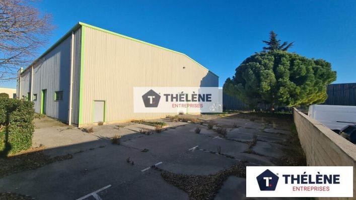 vente Locaux d'activité Mauguio