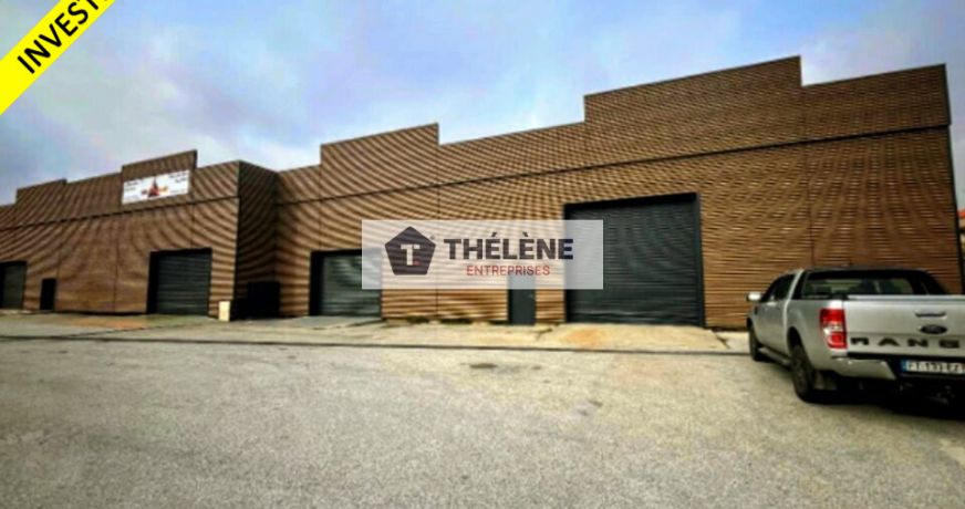 vente Locaux d'activité Perpignan
