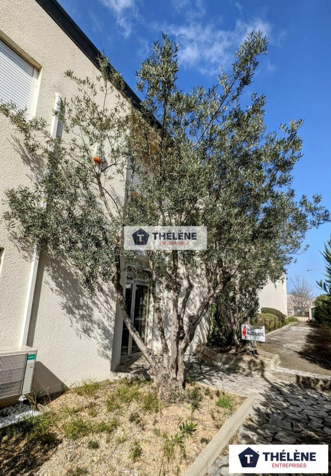 location Locaux d'activité Villeneuve Les Maguelone - Photo 3
