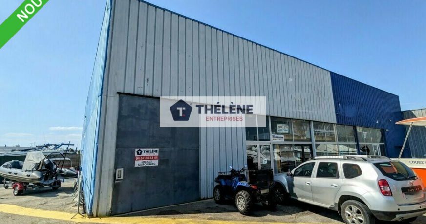 vente Locaux d'activité Le Grau-du-roi