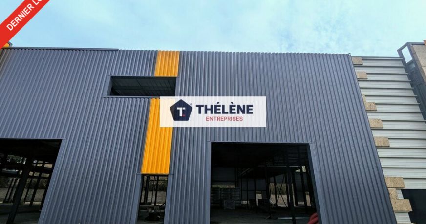 vente Locaux d'activité Lunel