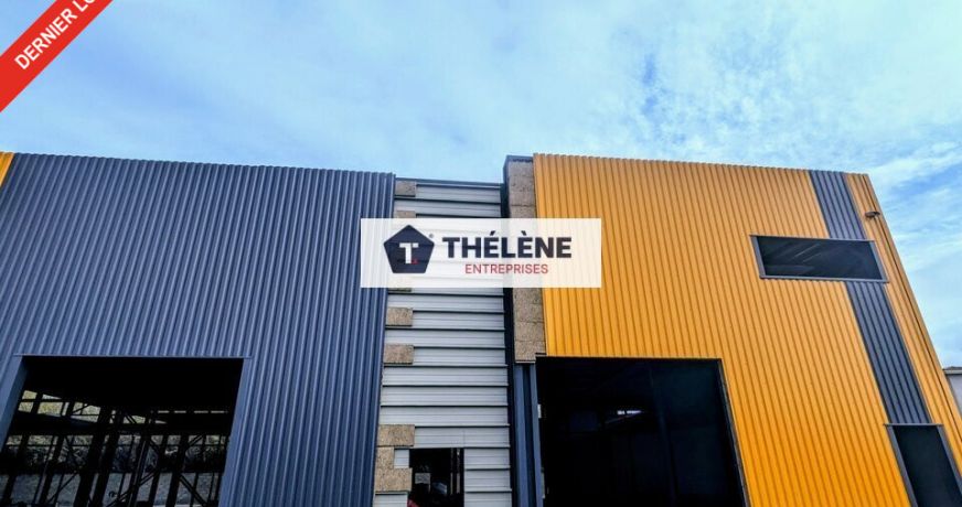 vente Locaux d'activité Lunel