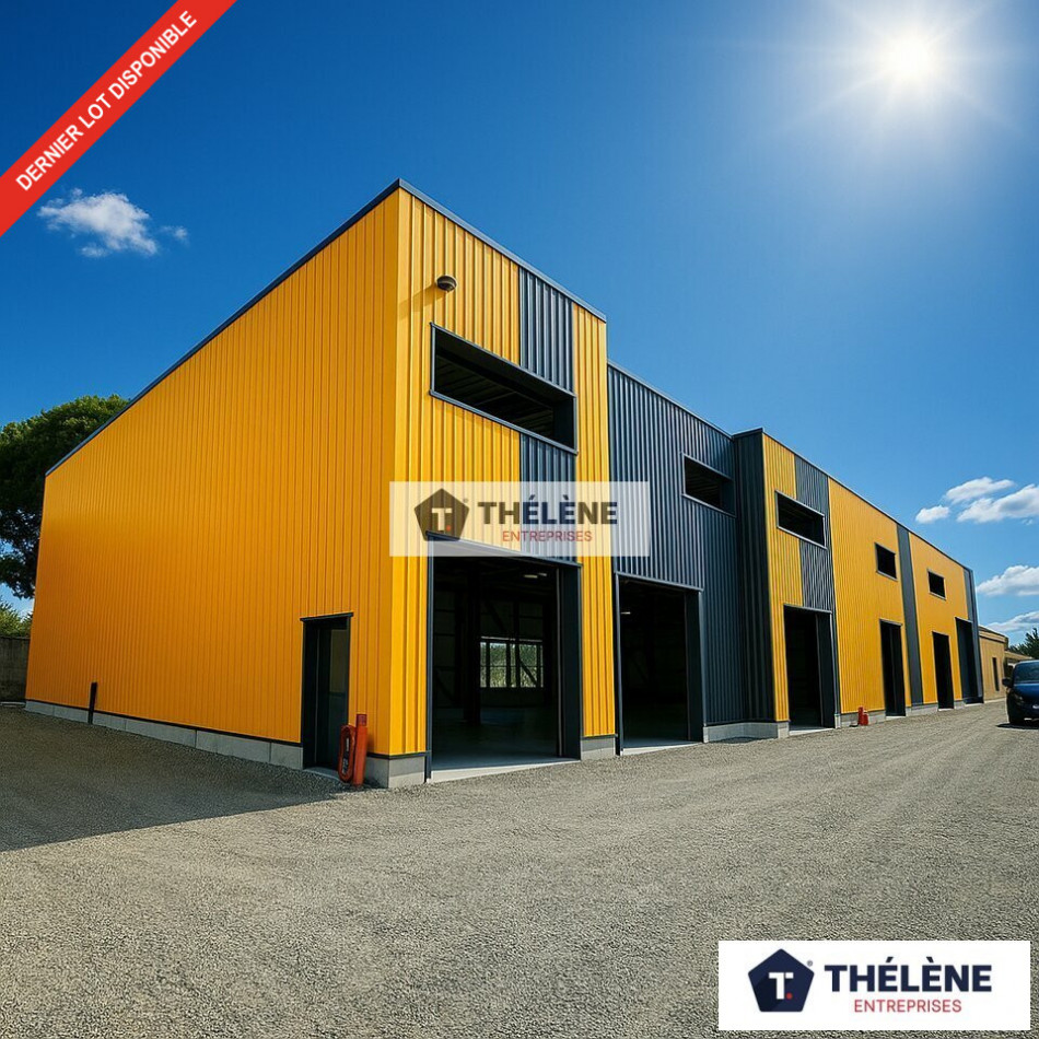 à vendre Locaux d'activité Lunel - Photo 1