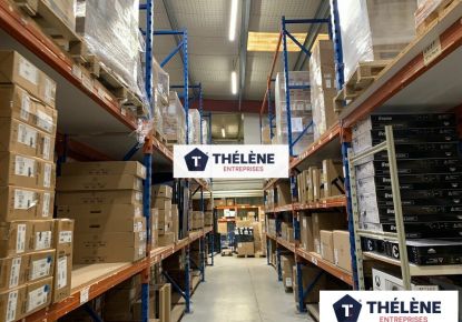 location Locaux d'activité Montpellier