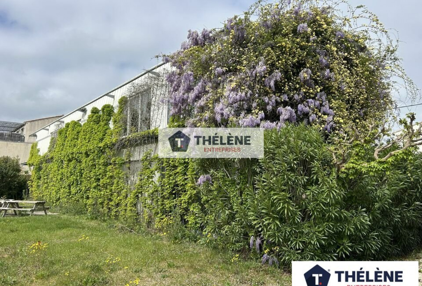 vente Bureau Lunel - Photo 4