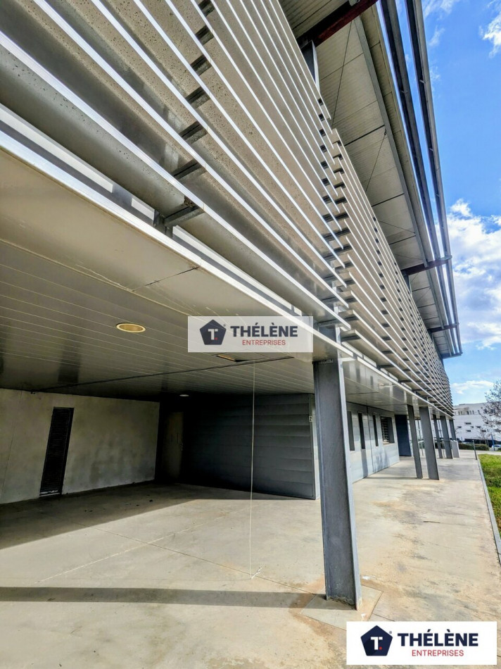 location Locaux d'activité Castries - Photo 4