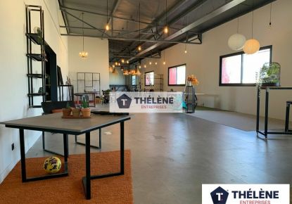 location Locaux d'activité Mauguio