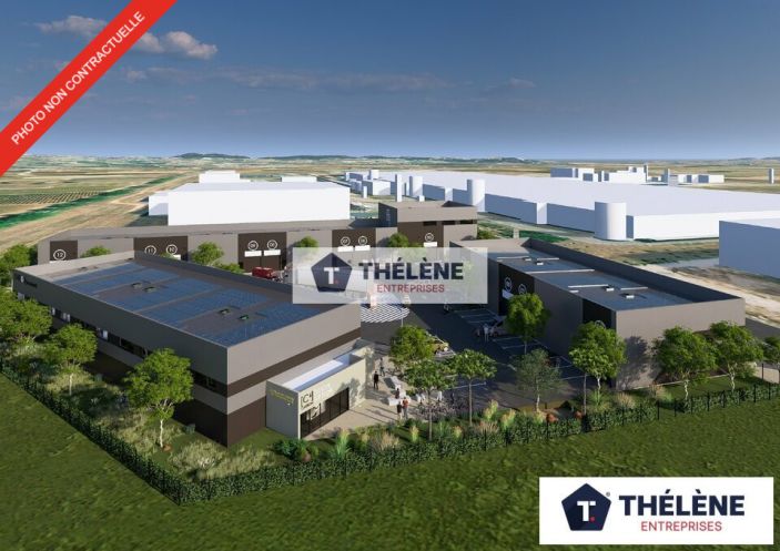 vente Locaux d'activité Clermont L'herault