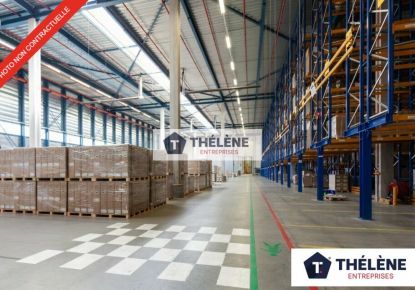 vente Locaux d'activité Montpellier