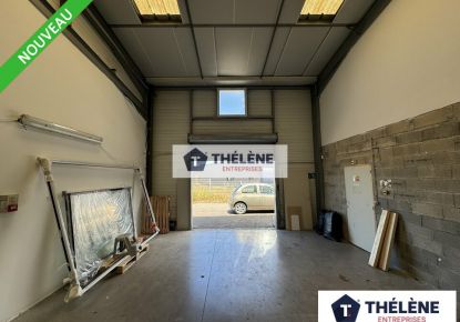 location Locaux d'activité Mauguio