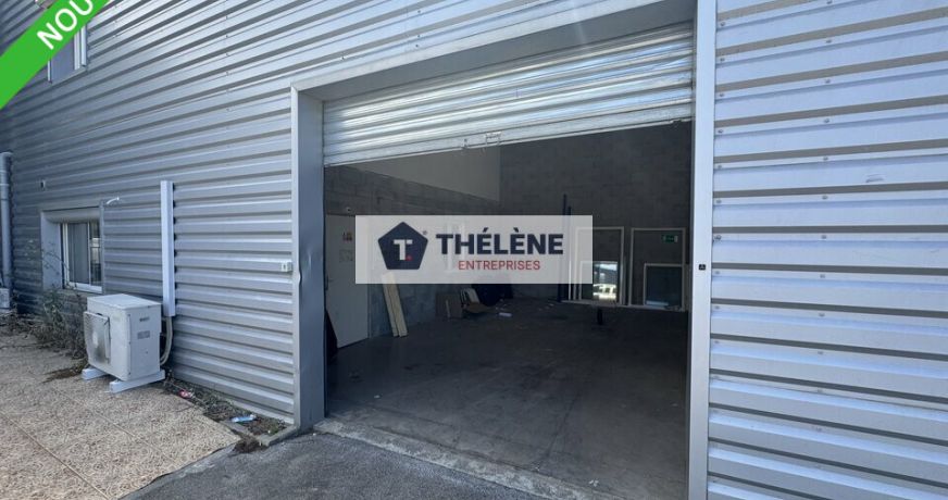 location Locaux d'activité Mauguio