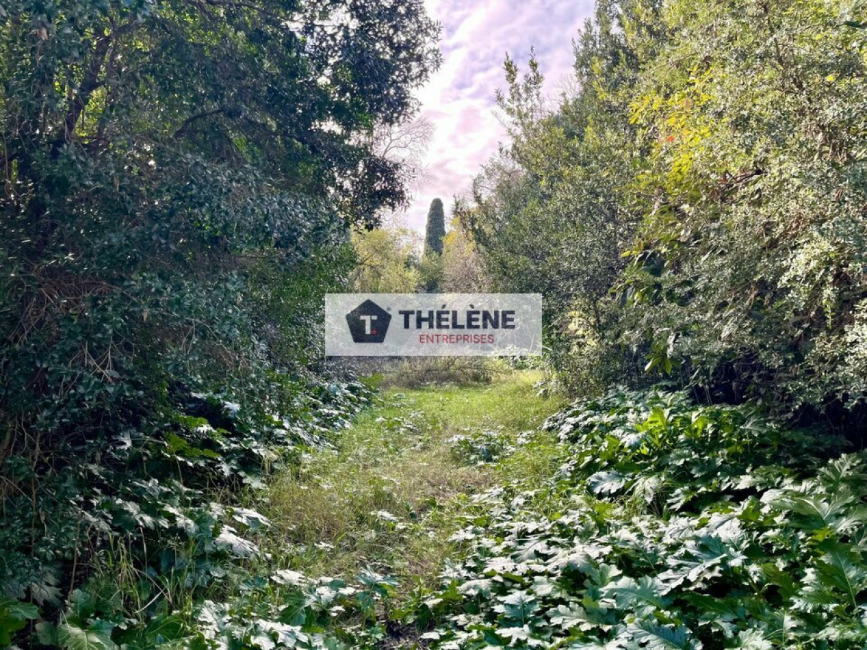 vente Montpellier - Photo 4