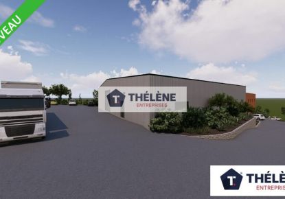 vente Locaux d'activité VailhauquÈs