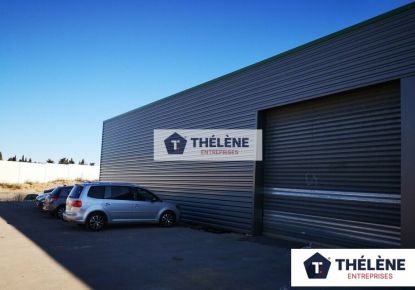 location Locaux d'activité Saint Jean De Vedas