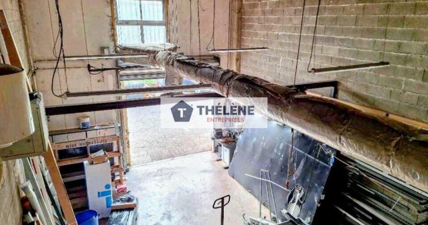 location Locaux d'activité Lattes