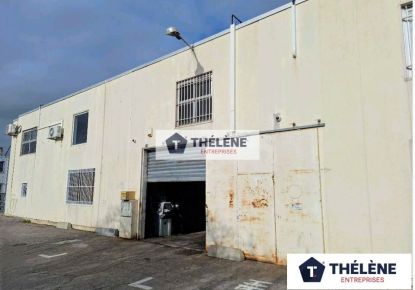 location Locaux d'activité Lattes