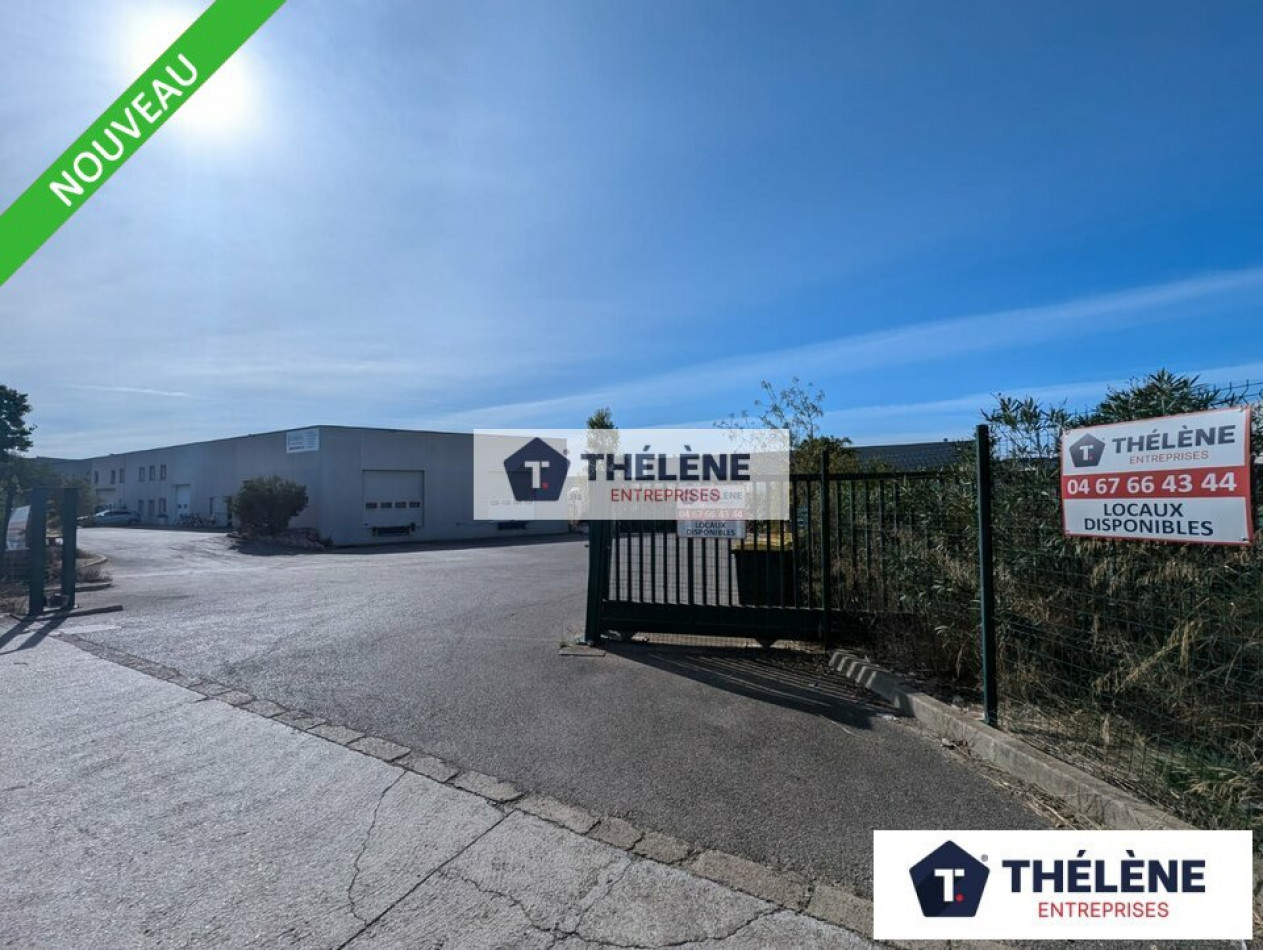 location Locaux d'activité Saint Jean De Vedas - Photo 3