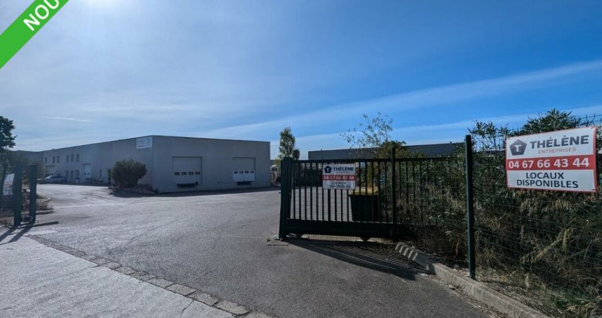 location Locaux d'activité Saint Jean De Vedas