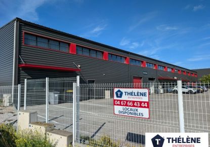 location Locaux d'activité Gallargues Le Montueux