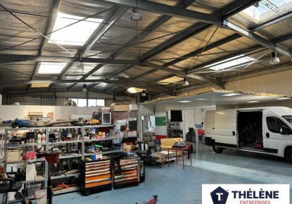 location Locaux d'activité Mauguio