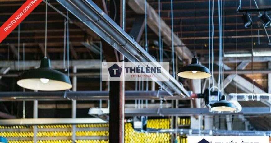 location Locaux d'activité Mauguio